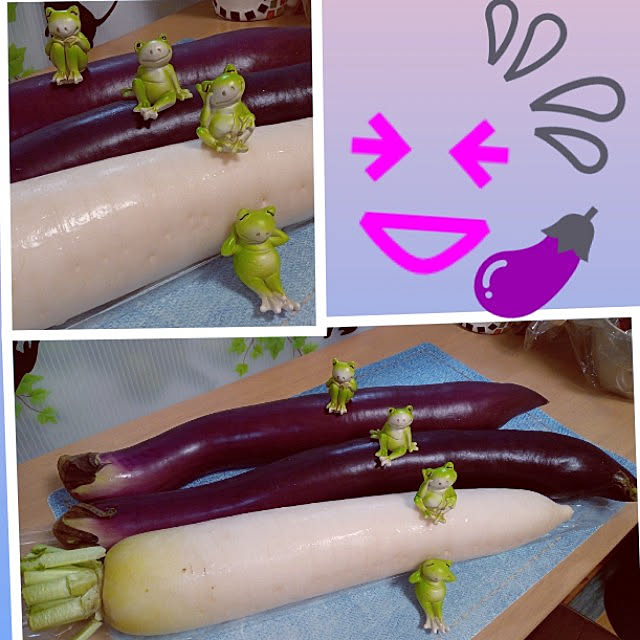 mocomocoさんの実例写真