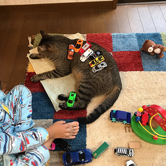 pepeさんの実例写真