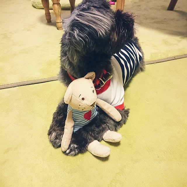 asaさんの実例写真