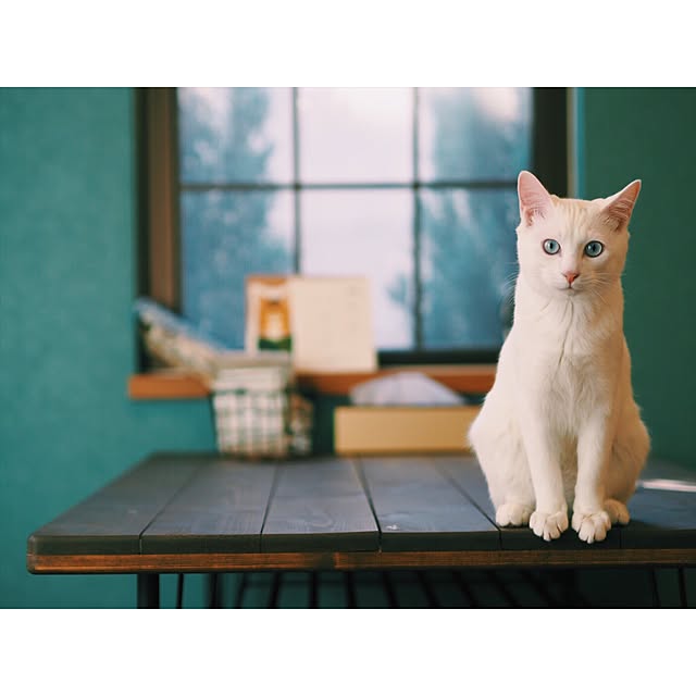 yuiiiさんの実例写真