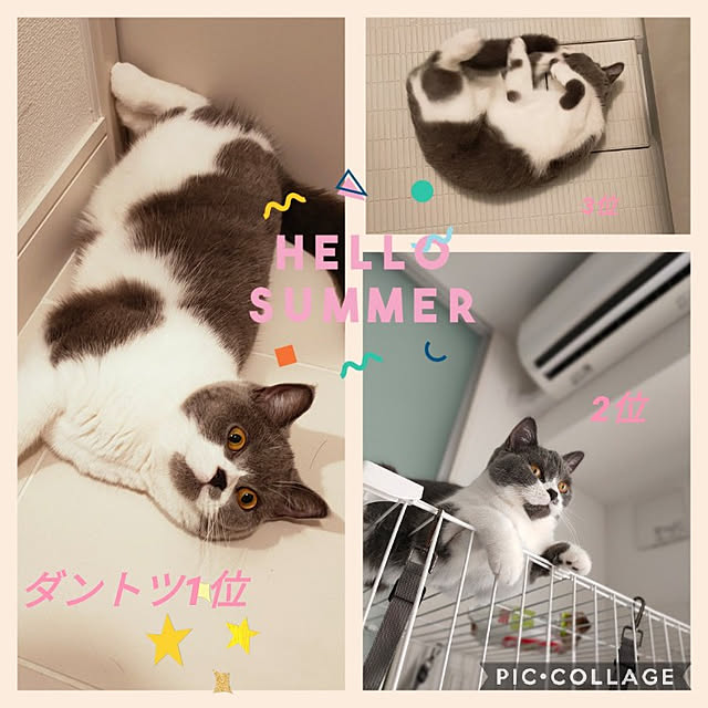 KEIKOさんの実例写真