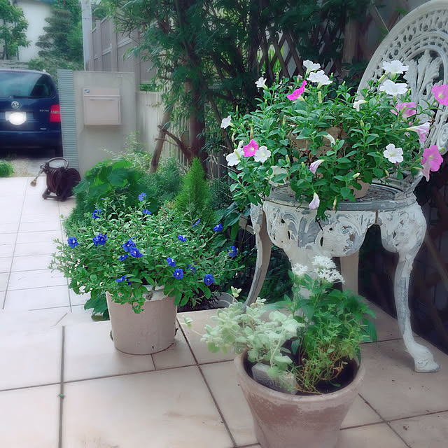 Rさんの実例写真
