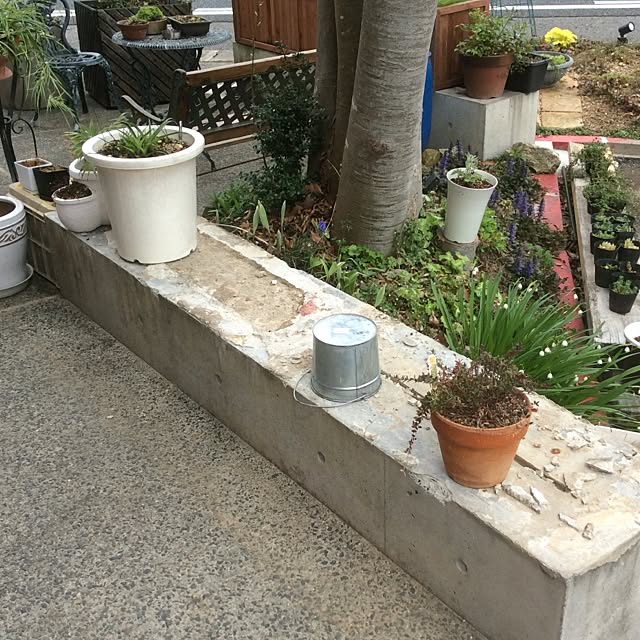 osharetomさんの実例写真