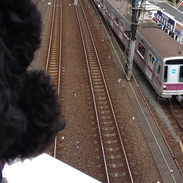 keitanさんの実例写真