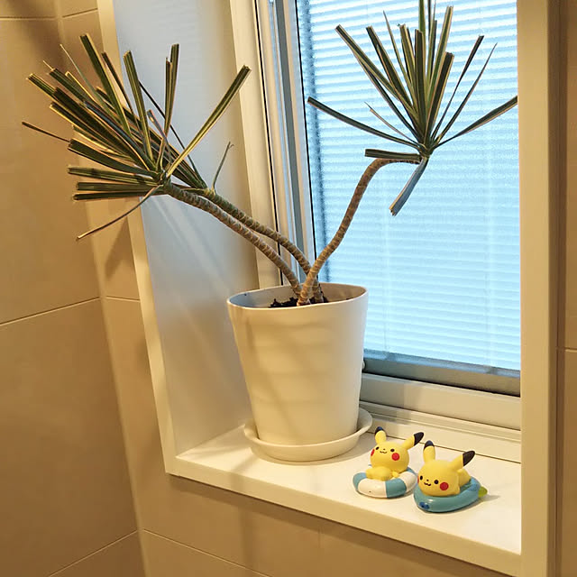 バス/トイレ/観葉植物のインテリア実例 - 2021-05-09 14:32:04