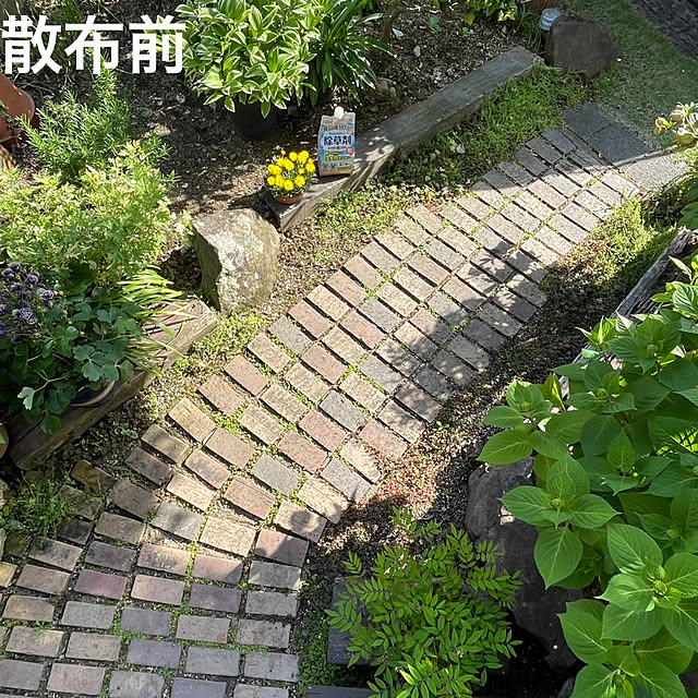 nobikoさんの部屋