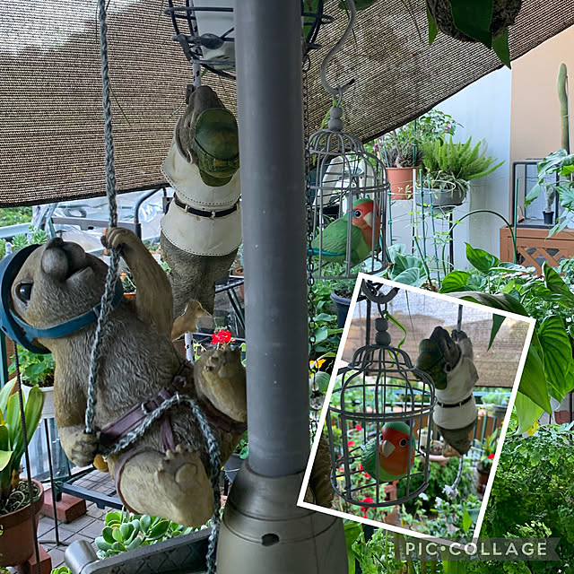 Aqettyさんの実例写真