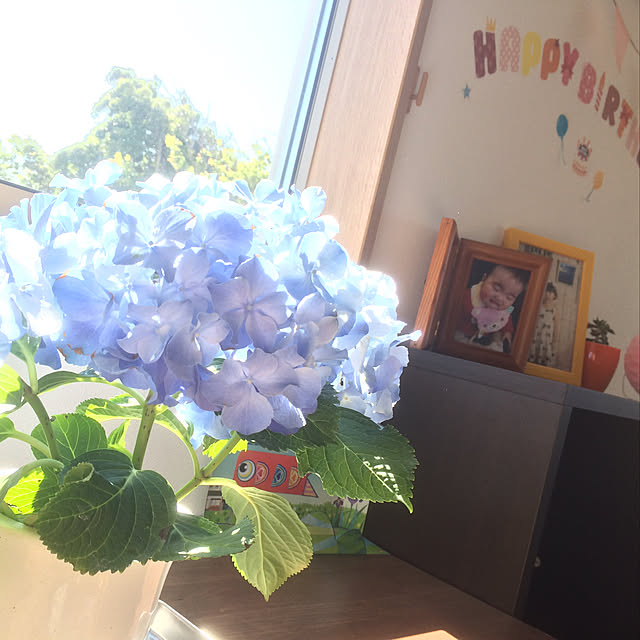 Hissaさんの実例写真
