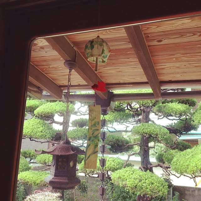 Mikalincoさんの実例写真