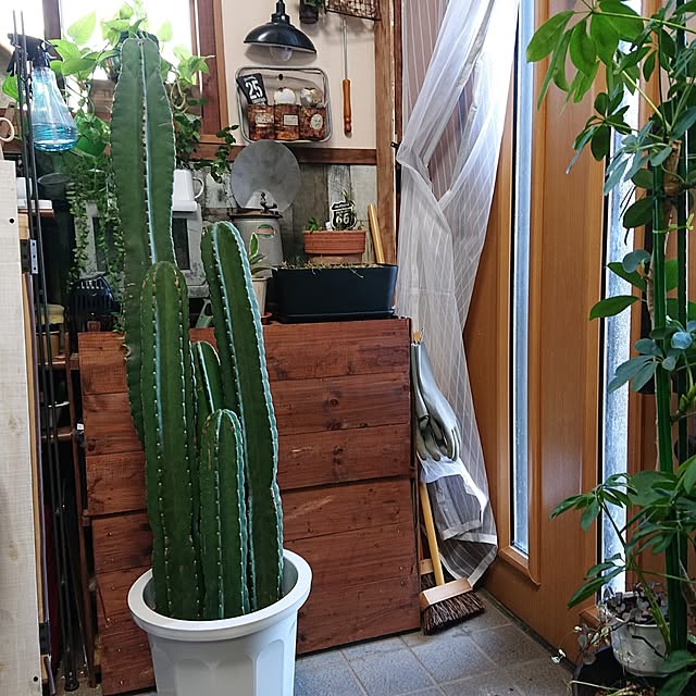 tikuwaさんの実例写真