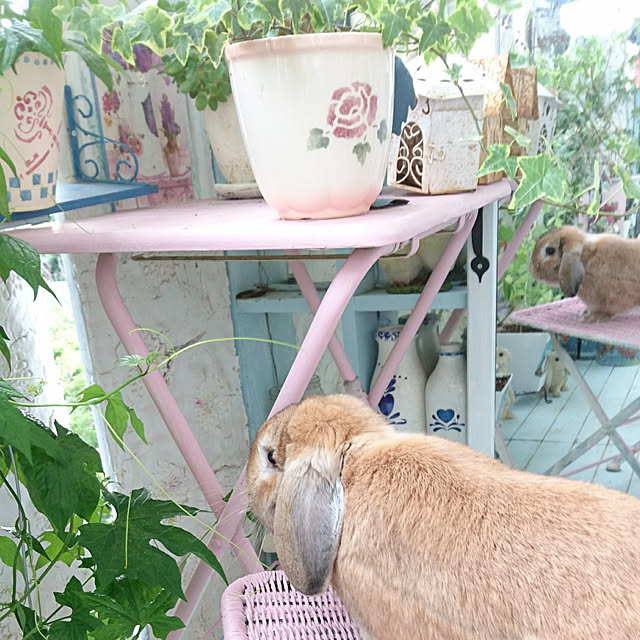 ruruさんの実例写真