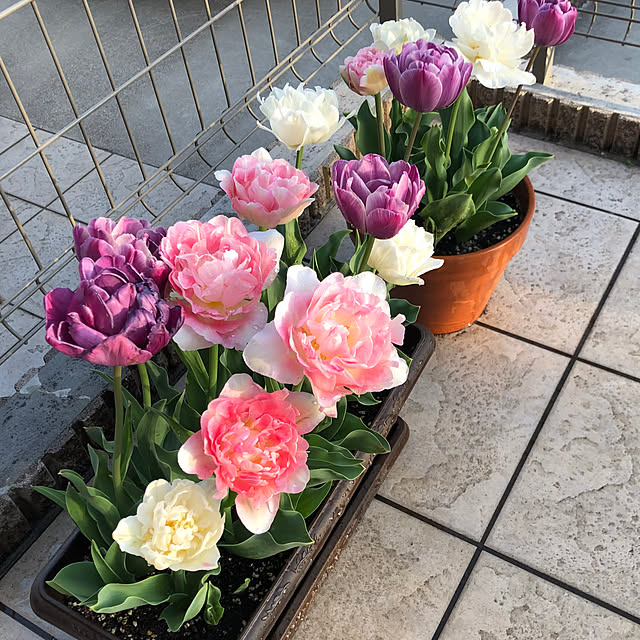 yk31-18さんの実例写真