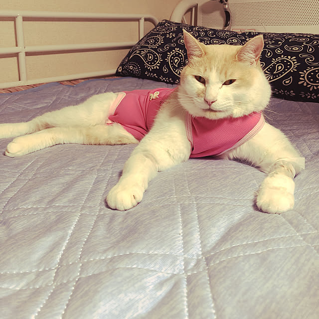 naworinさんの実例写真