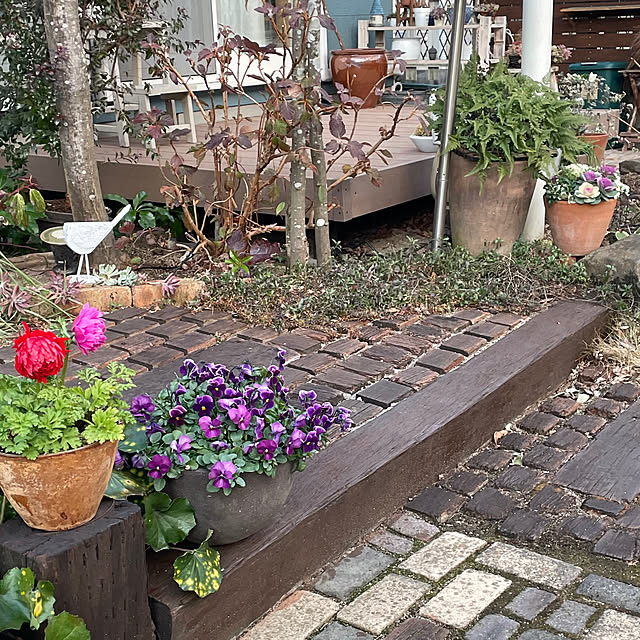 nobikoさんの部屋