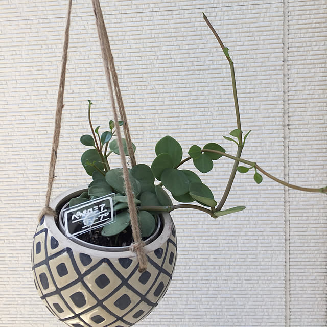 craneさんの実例写真