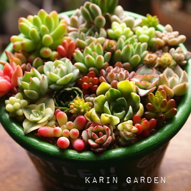 karinさんの実例写真