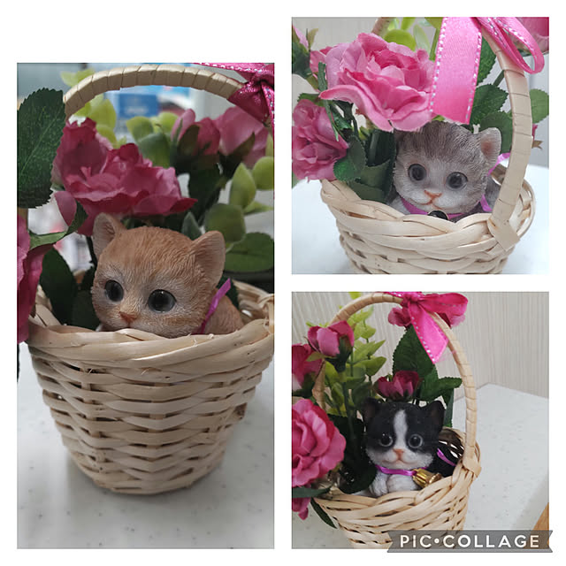 karenさんの実例写真