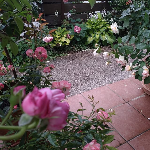 figaroさんの実例写真