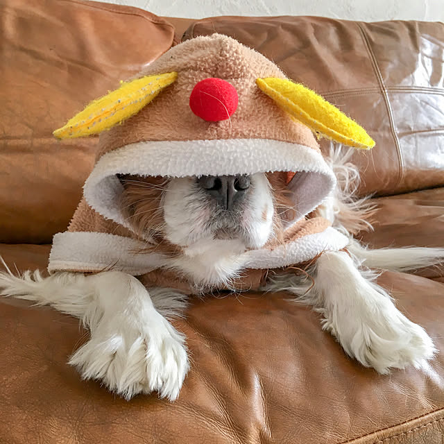 miyaさんの実例写真