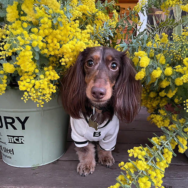 yupponさんの部屋