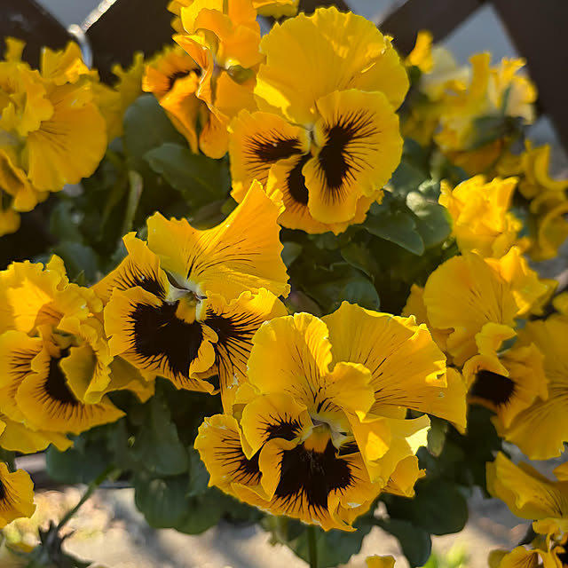 ritsukoさんの部屋