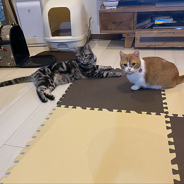 KotarouKunさんの実例写真