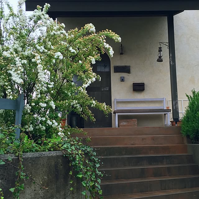 shio2772さんの実例写真