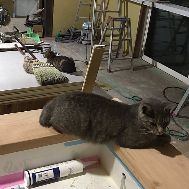 yukimidaifuku4さんの実例写真