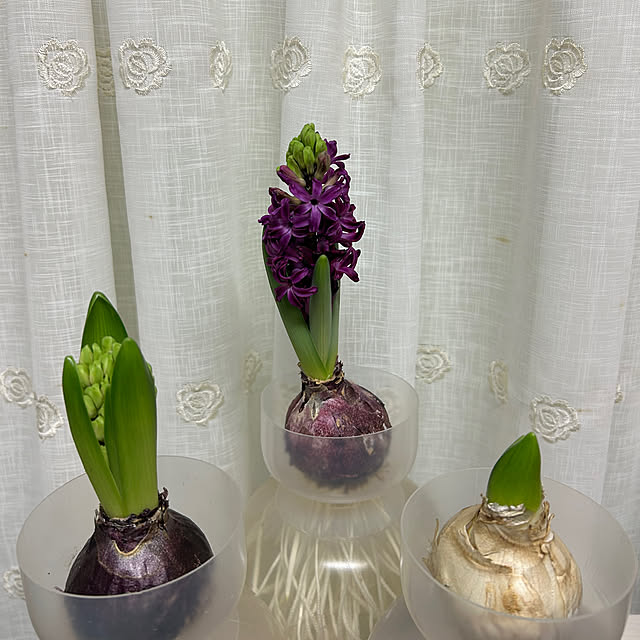 fumikoiさんの部屋