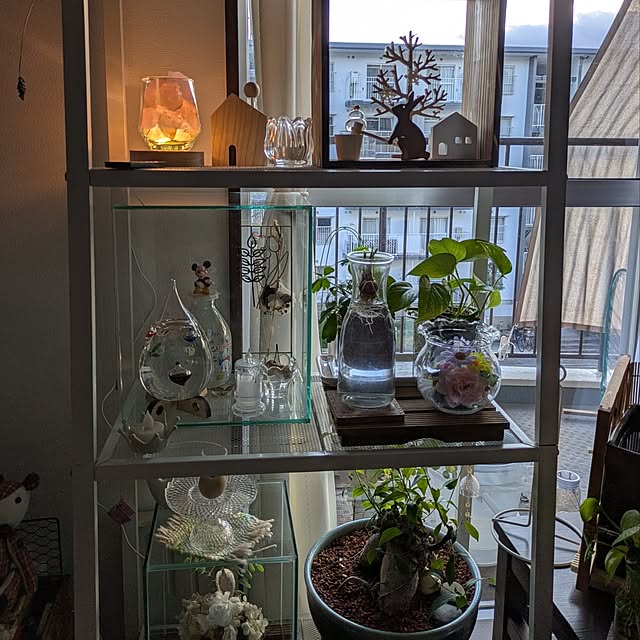 mi-saさんの部屋