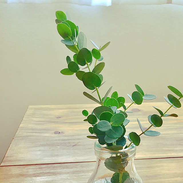机/DIY/観葉植物のインテリア実例 - 2017-10-31 19:00:52
