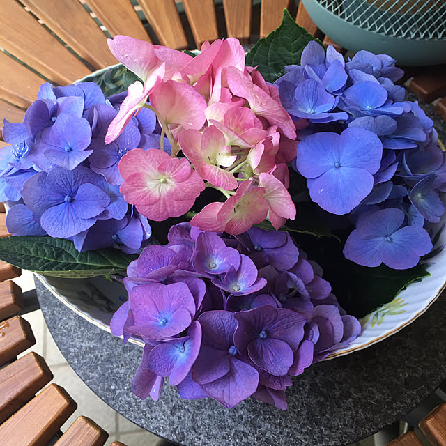 happy-sachiさんの実例写真