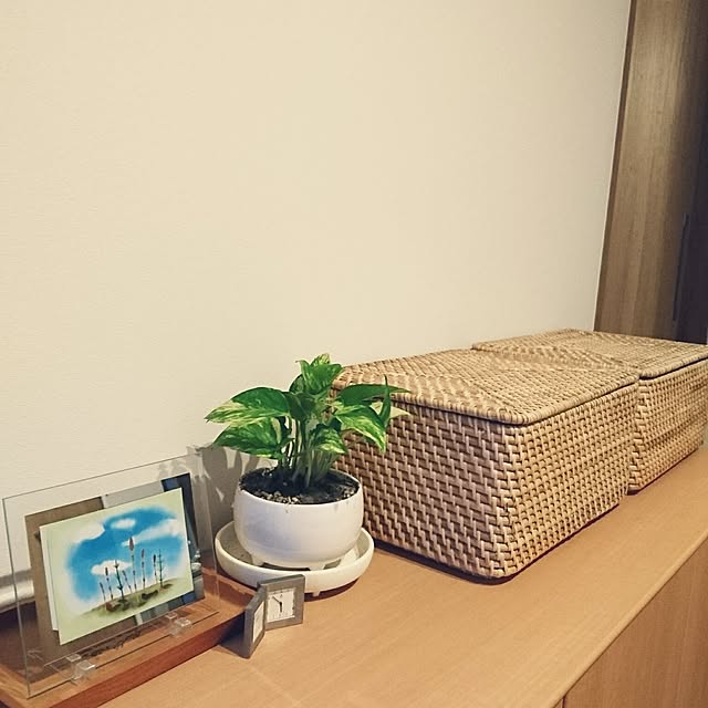 yukoさんの実例写真