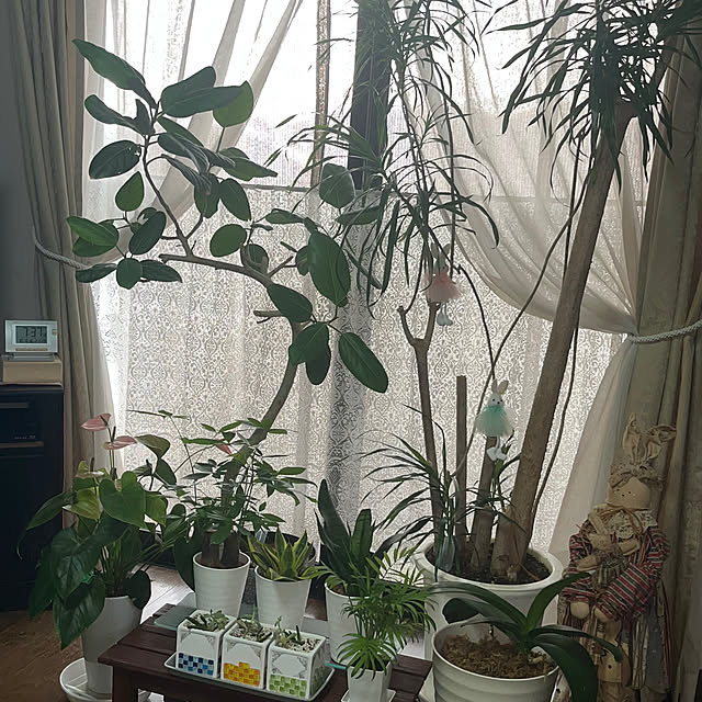 ritsukoさんの部屋