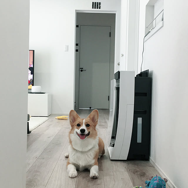 3ayuさんの実例写真