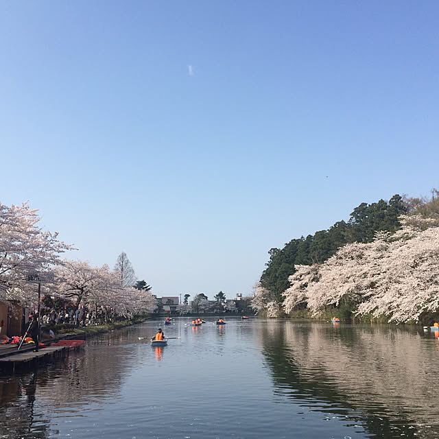 玄関/入り口/お花見/桜/インテリアじゃなくてごめんなさいのインテリア実例 - 2017-04-15 23:21:40