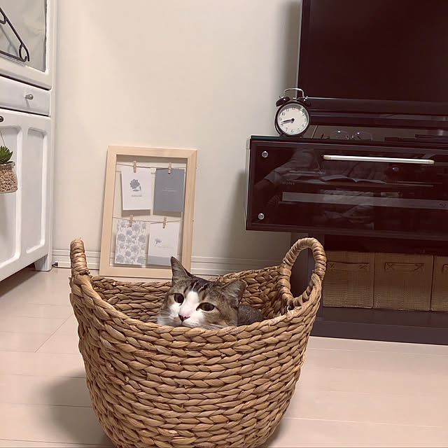 nekomiさんの実例写真