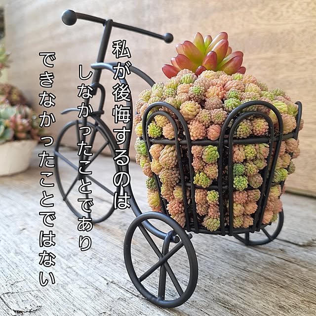 amtさんの実例写真
