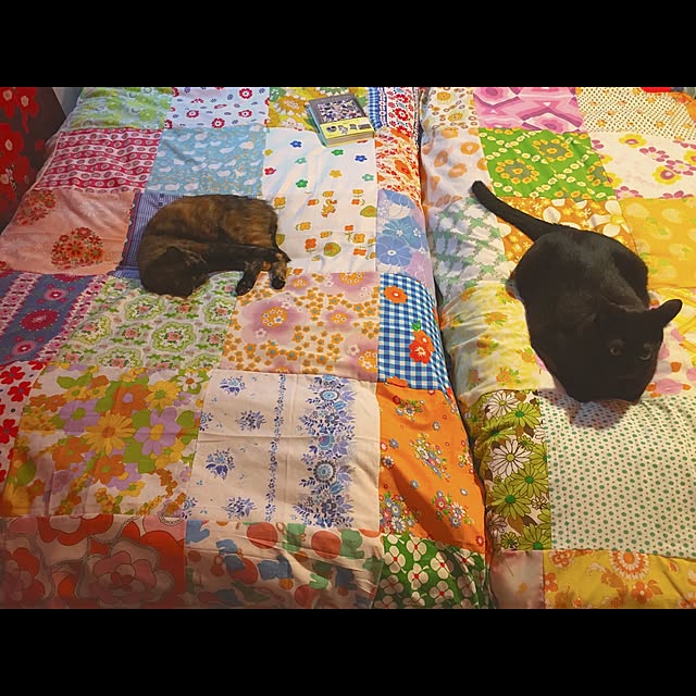 hilaさんの実例写真