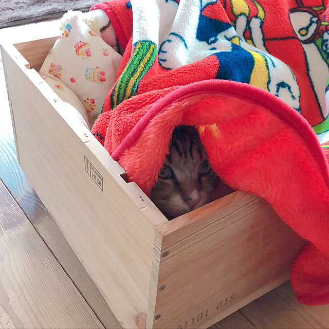 yurari.bonnさんの実例写真