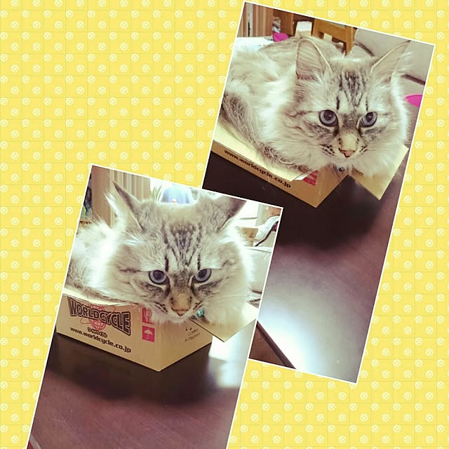 hiroさんの実例写真