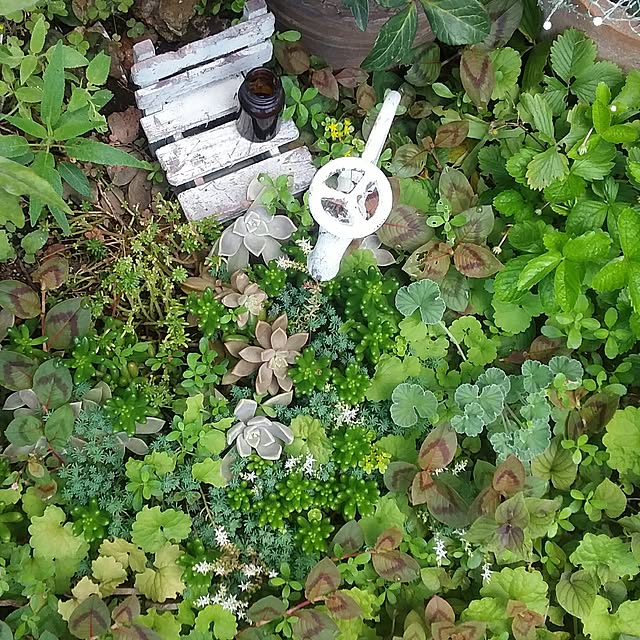 yukkoさんの実例写真