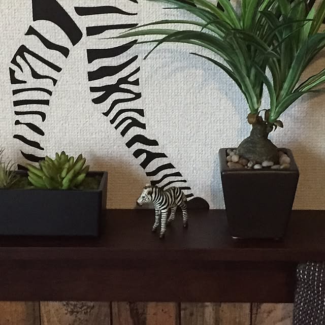 shinさんの実例写真
