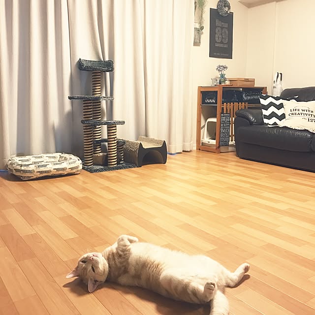hiyupan88さんの実例写真