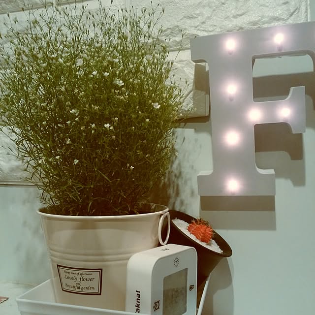 SSさんの実例写真