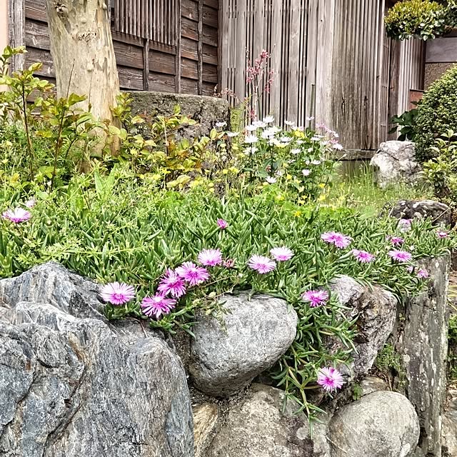 kuririnmamaさんの実例写真