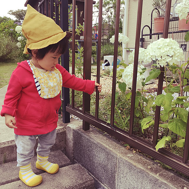 hiiroさんの実例写真