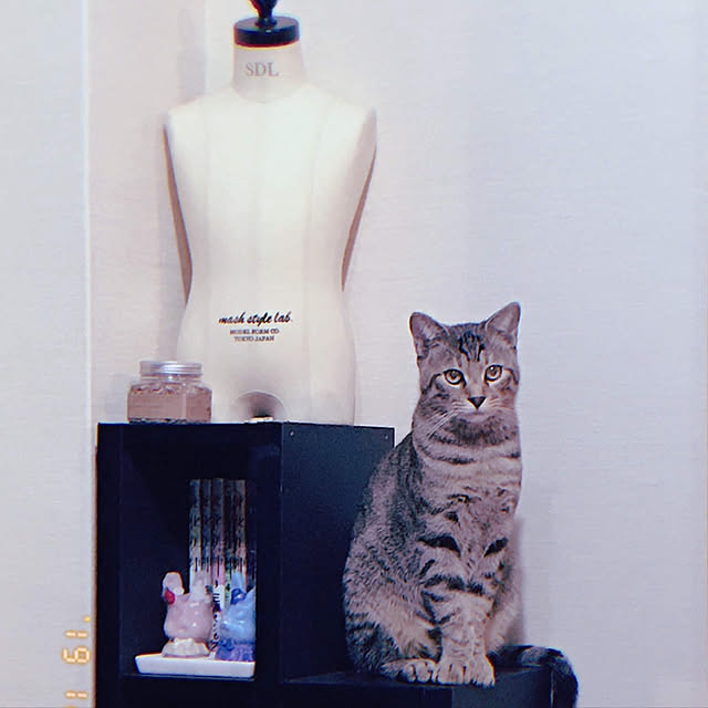 tyuさんの実例写真