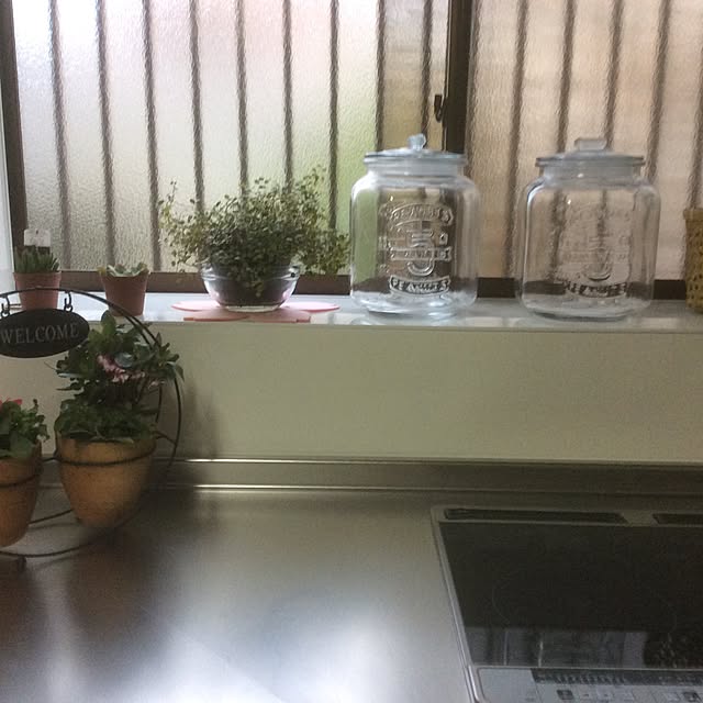 Tomokoさんの実例写真