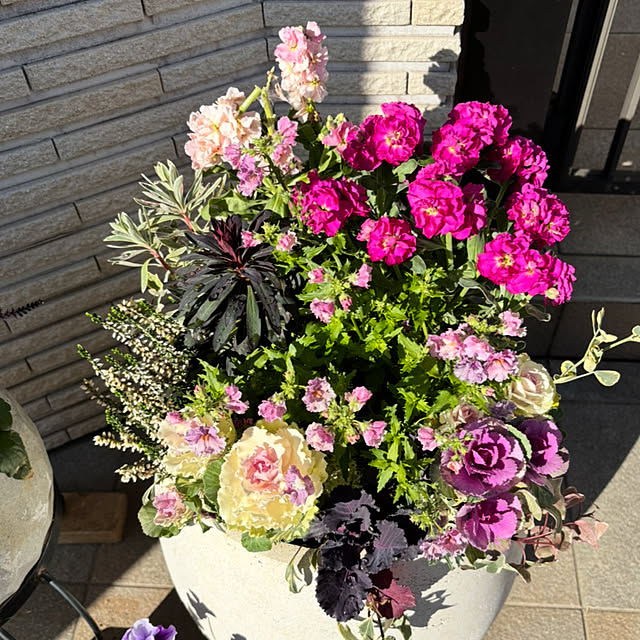 maimai0110さんの部屋